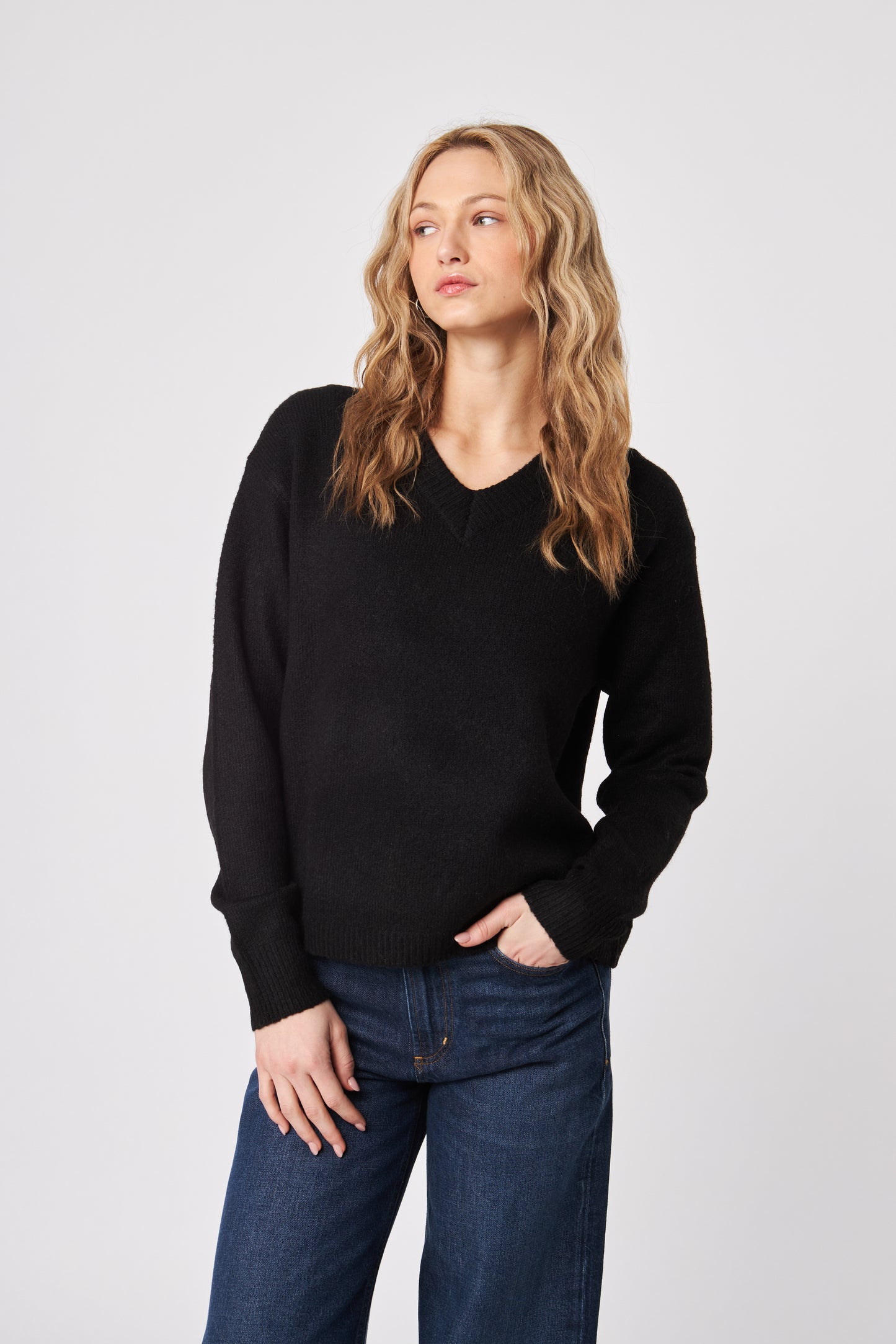 JOHN + JENN - V Neck Sweater - Caviar
