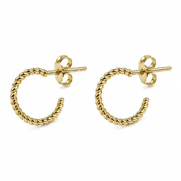 Paris Twisted Mini Hoops