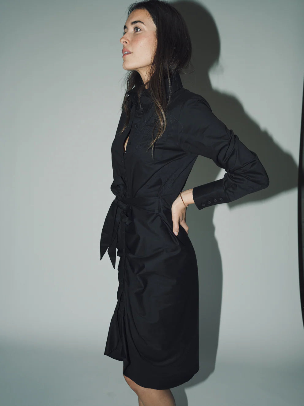 THE SHIRT - The Wrap Front Dress